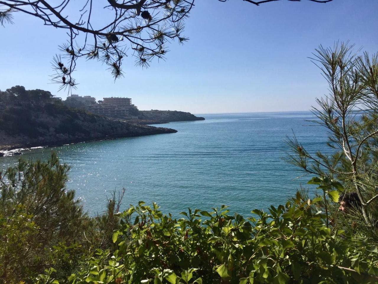 Synergie Si09 - La Jota Daire Salou Dış mekan fotoğraf